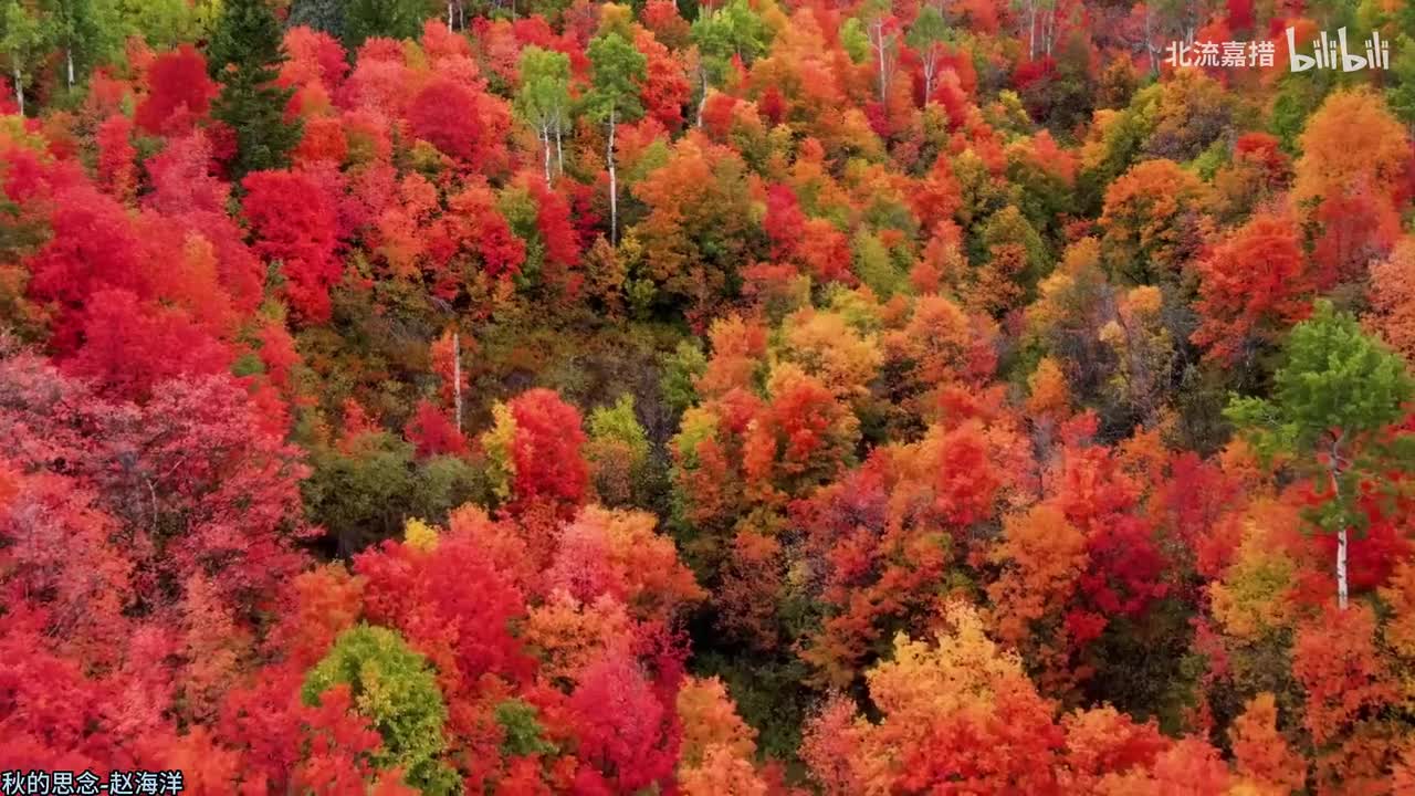 117.秋的思念-赵海洋