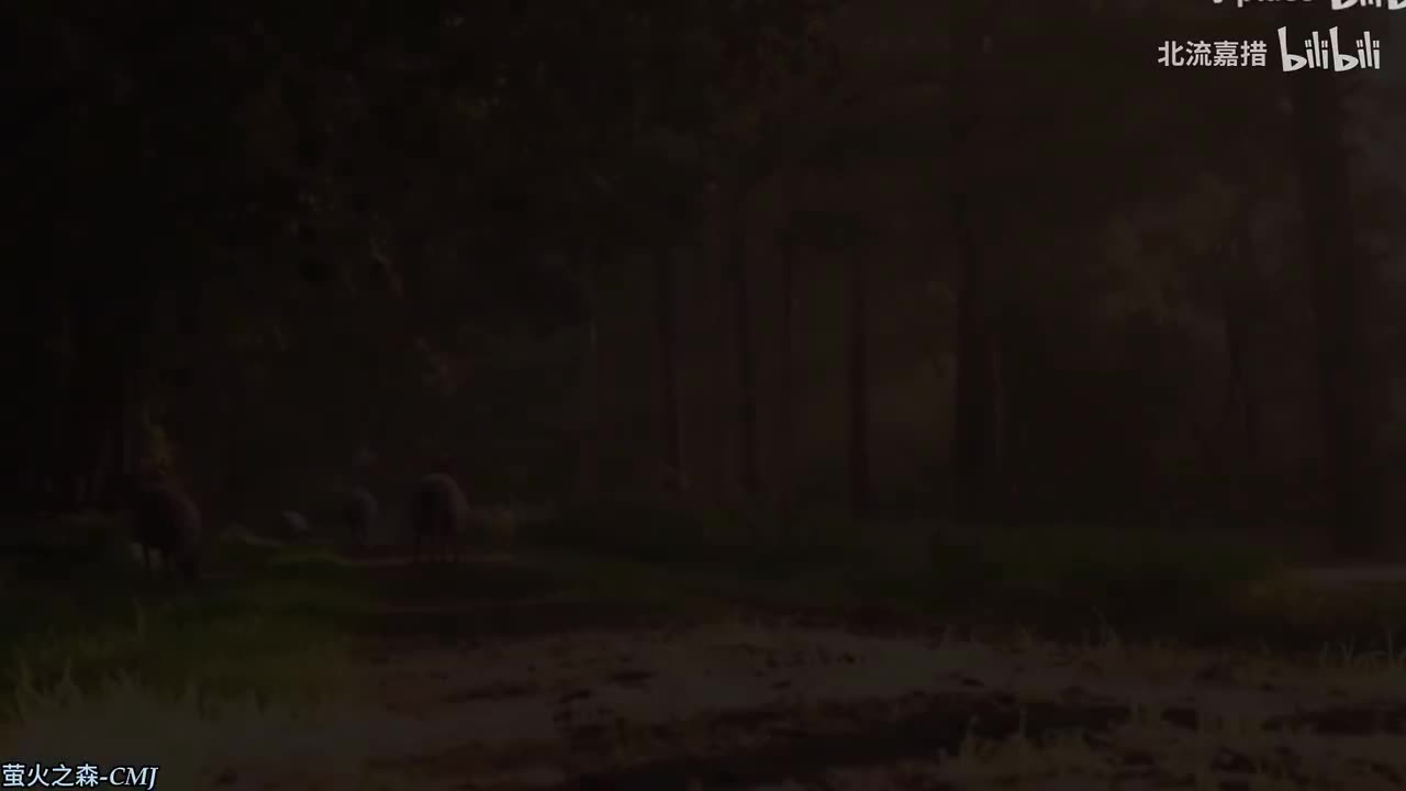 149.萤火之森-CMJ