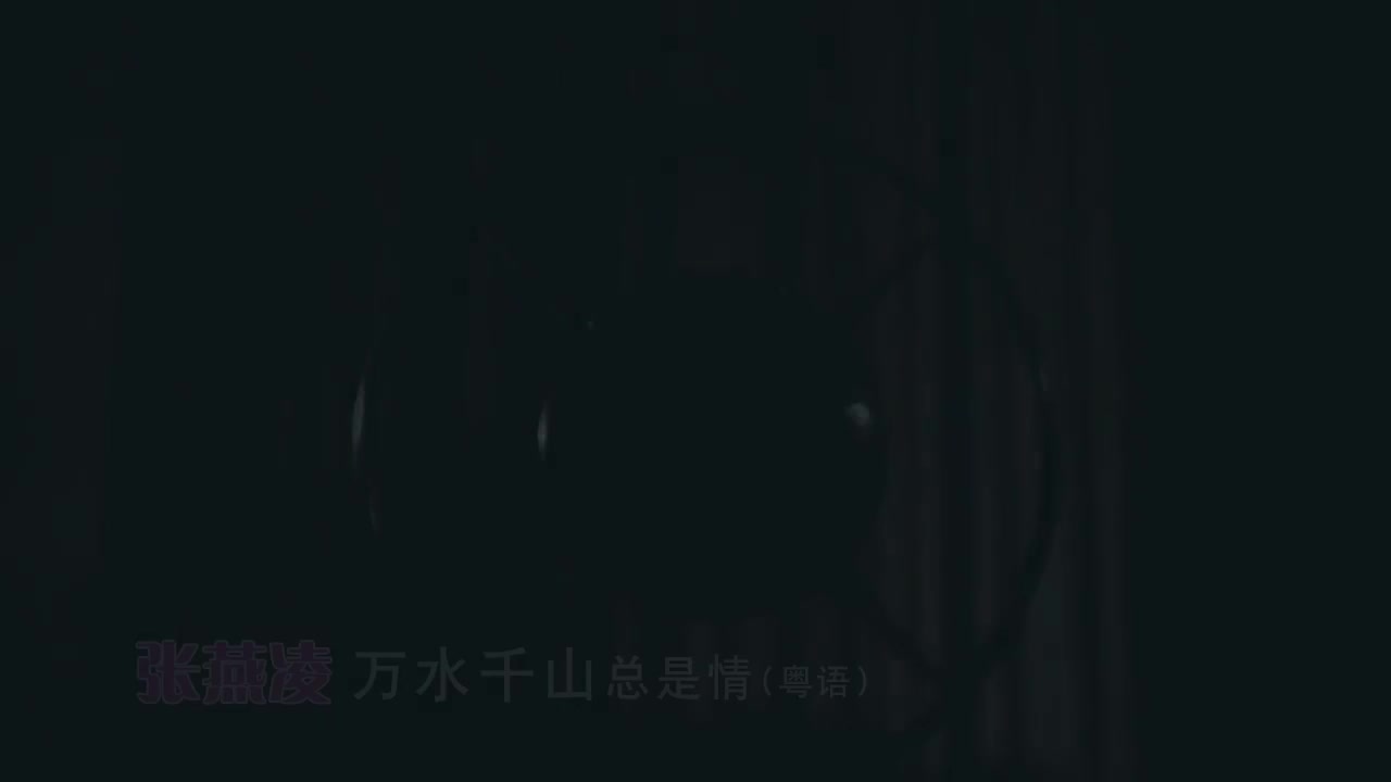 2-04 万水千山总是情 (张燕凌)