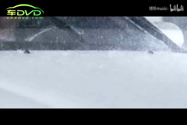 《多情的人总被无情的伤》-六哲