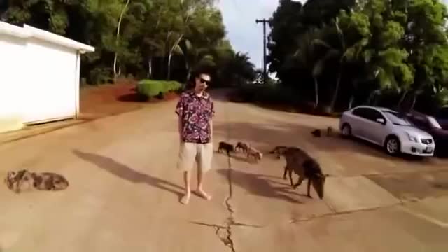 T.U.B.E. - 鎮座DOPENESS