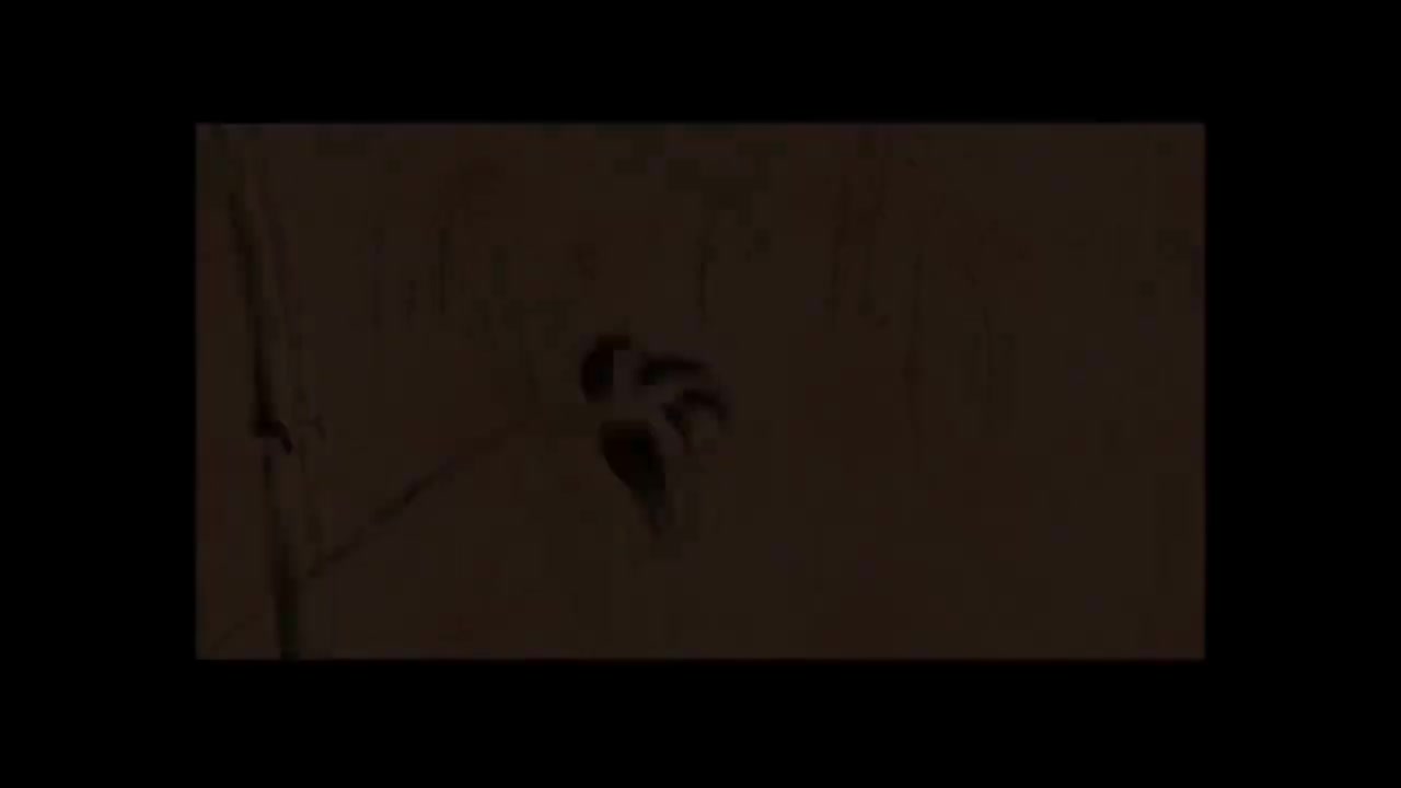 最炫民族风 - 凤凰传奇