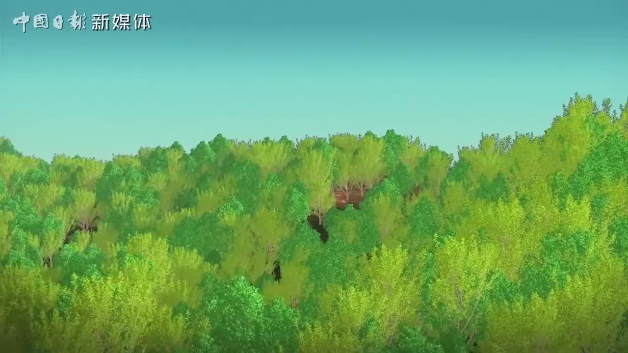 41：兰考张庄村