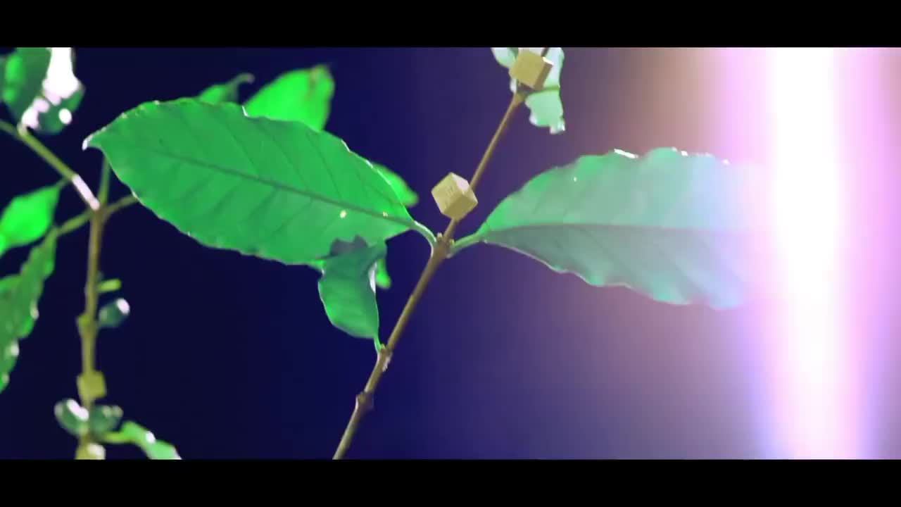 S.H.E-少了一个人