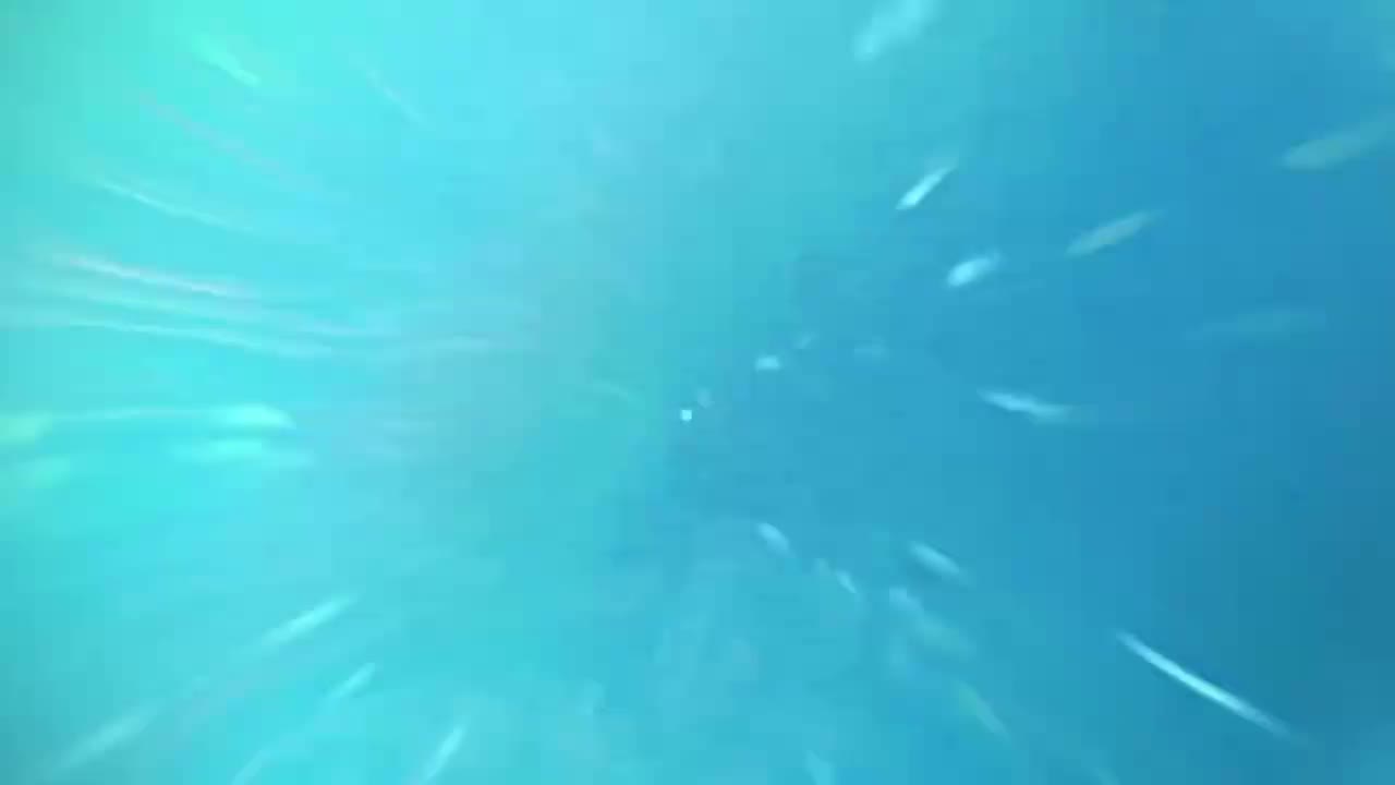 【FredsVoice助眠】RAW 最快三重锋利割喉剃须刀 Barberhop 剃须 💈ASMR💈