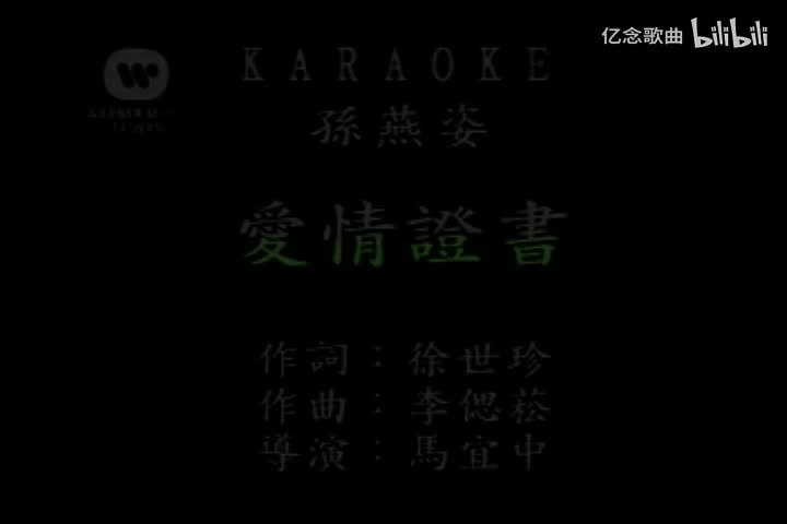 孙燕姿-爱情证书(MTV)[国语]