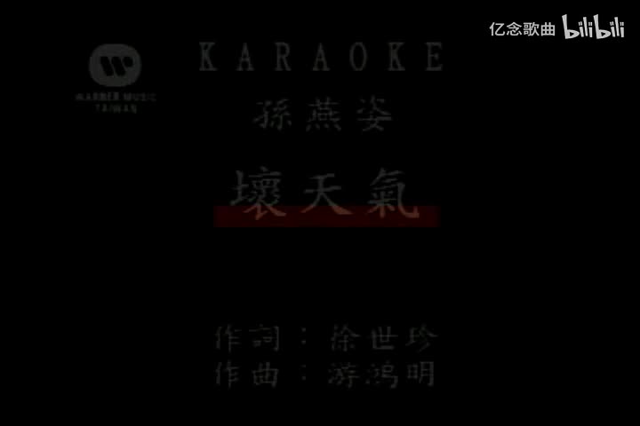 孙燕姿-坏天气(演唱会)[国语]