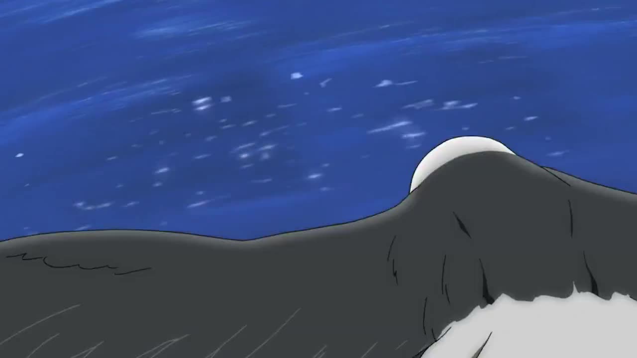 4.海鸟 镜头捕捉