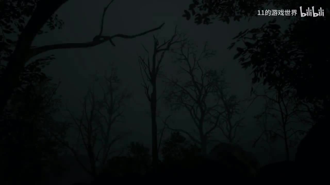 第二期：不死鸟的雏鸟
