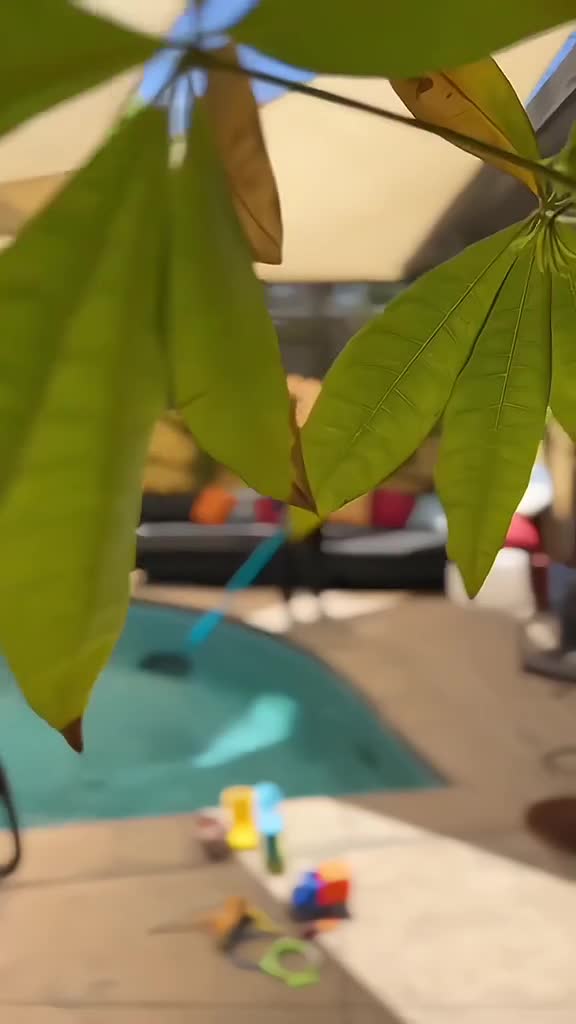 大力王清理泳池（06.23）