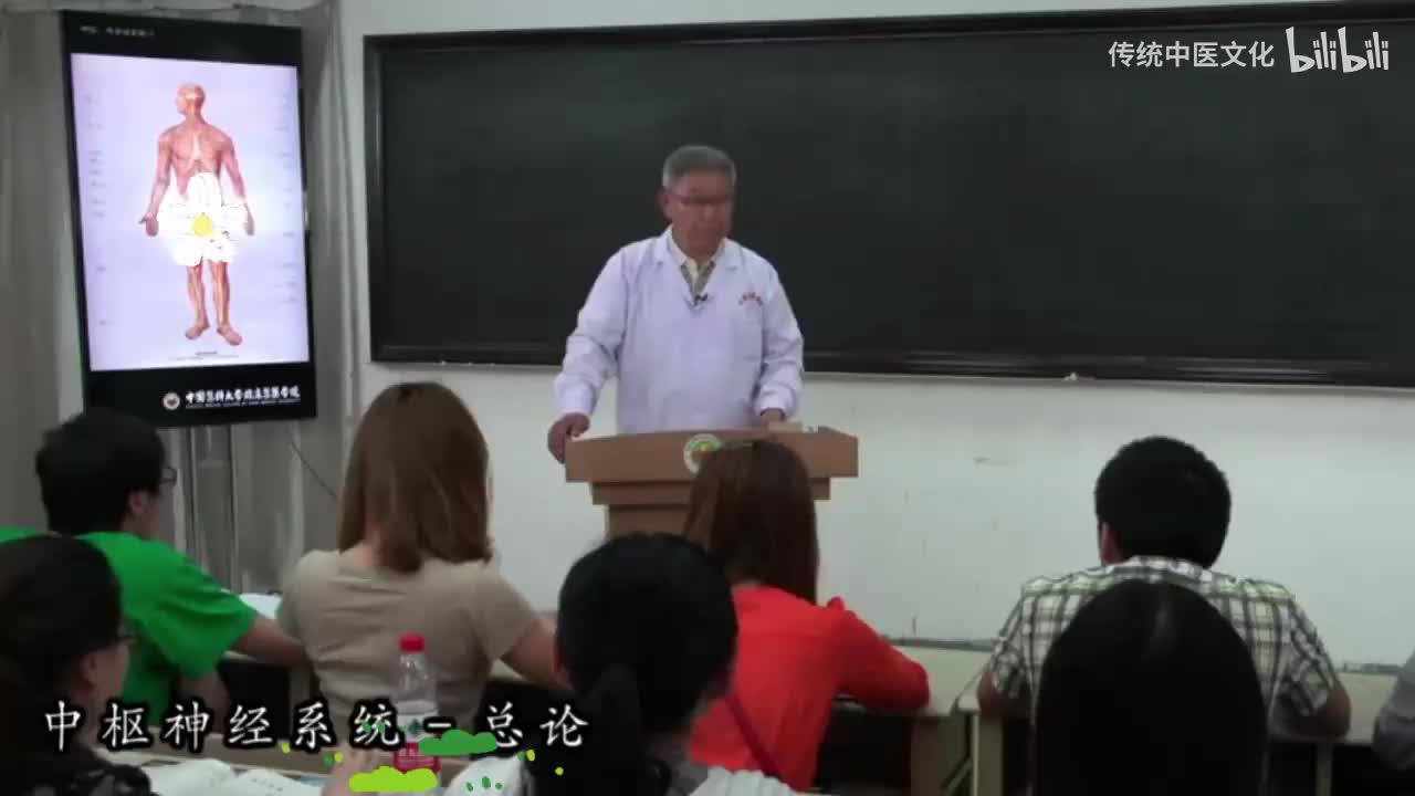 45-解刨学-中枢神经系统总论