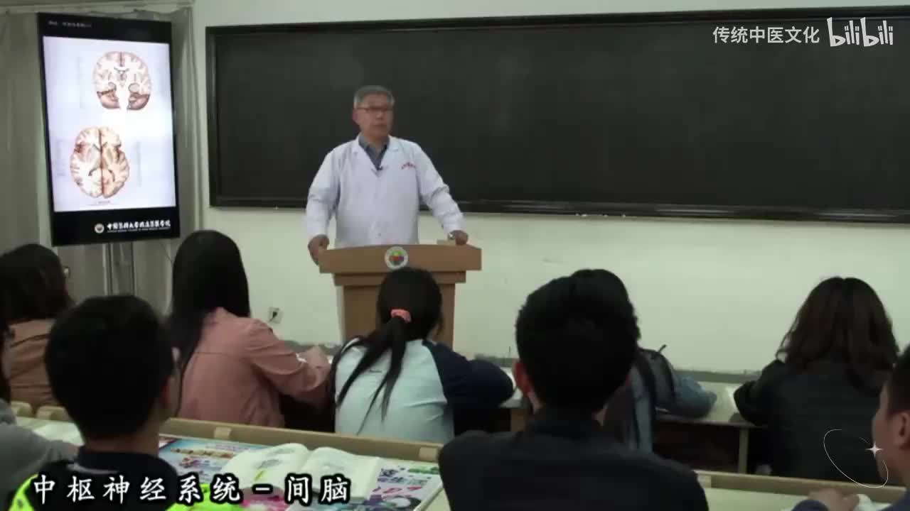 49-解刨学-中枢神经系统-间脑