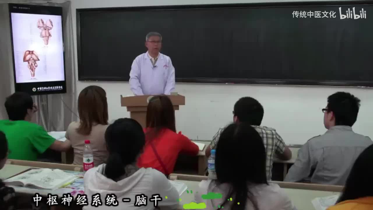 47-解刨学-中枢神经系统-脑干