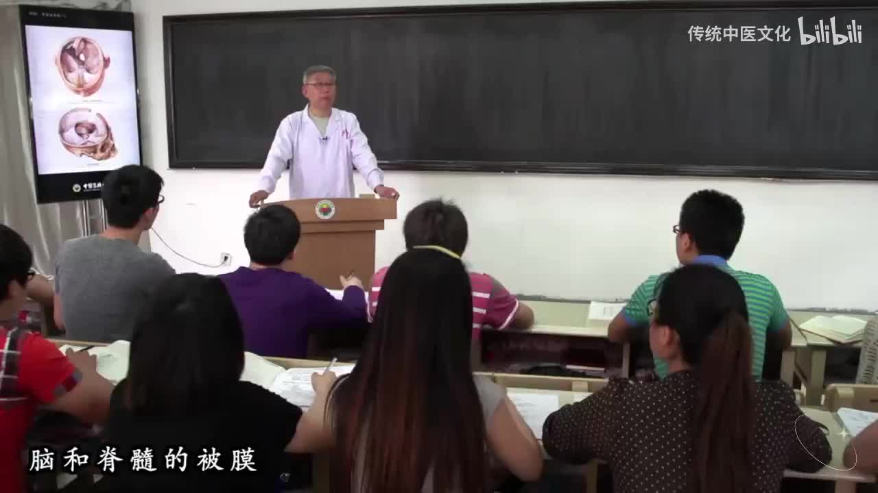 51-解刨学-中枢神经系统-脑和脊髓的被膜