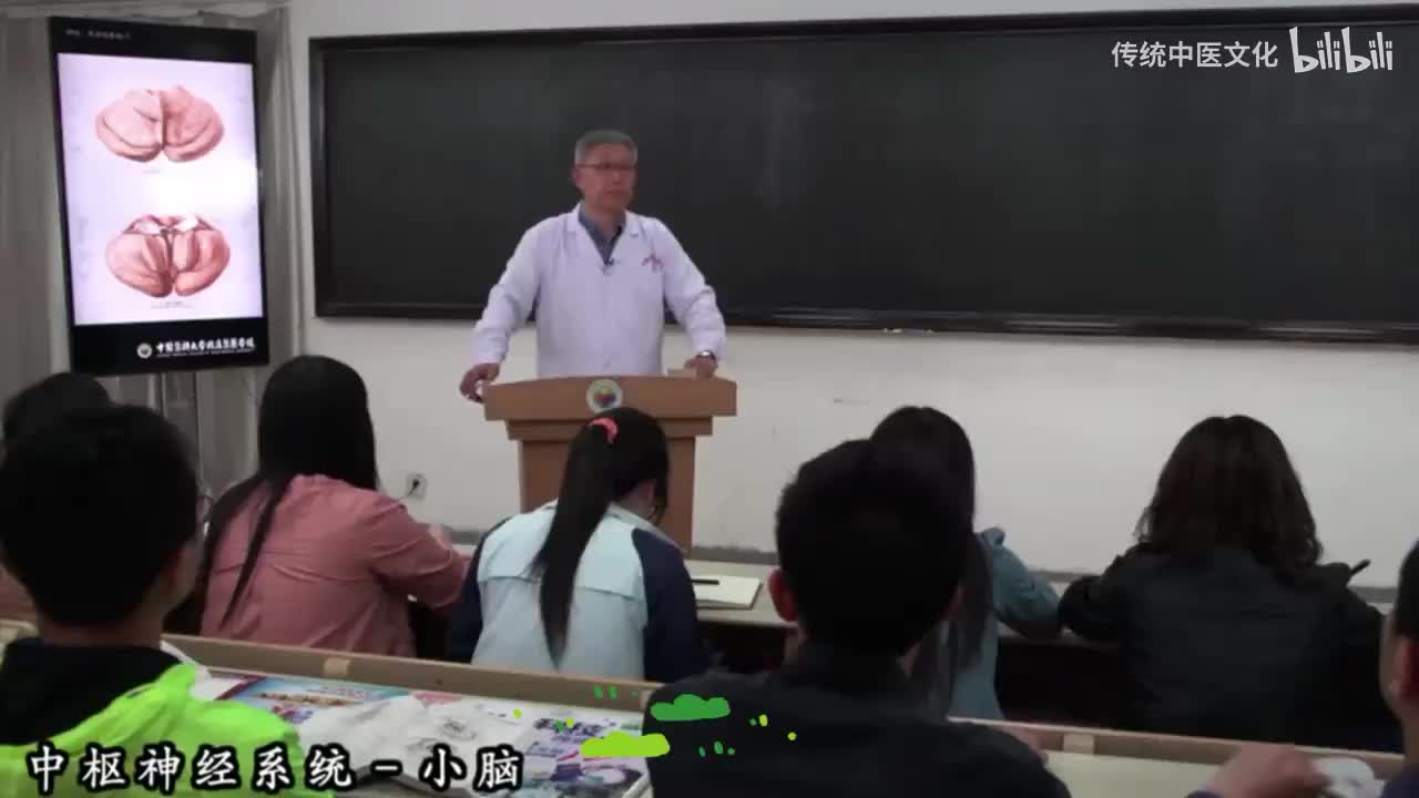 48-解刨学-中枢神经系统-小脑
