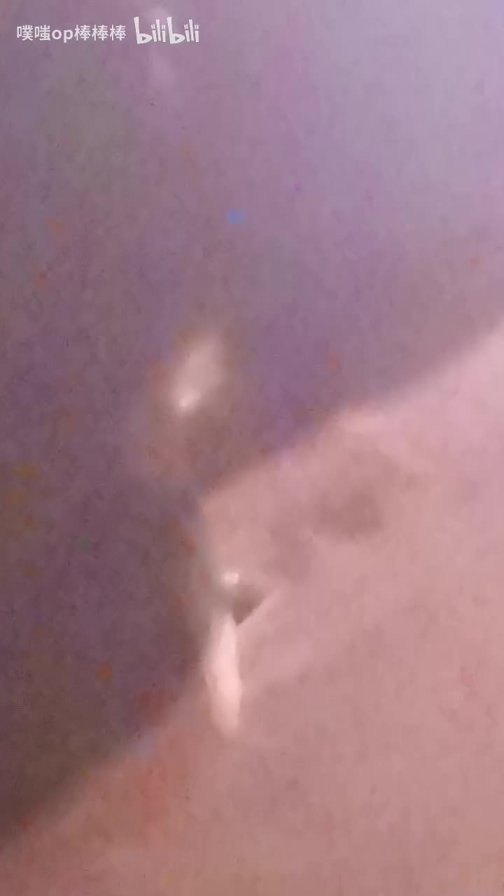 神仙说他也不懂