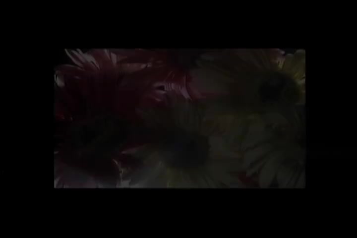 碟B 04 青山-几度花落时（华声）