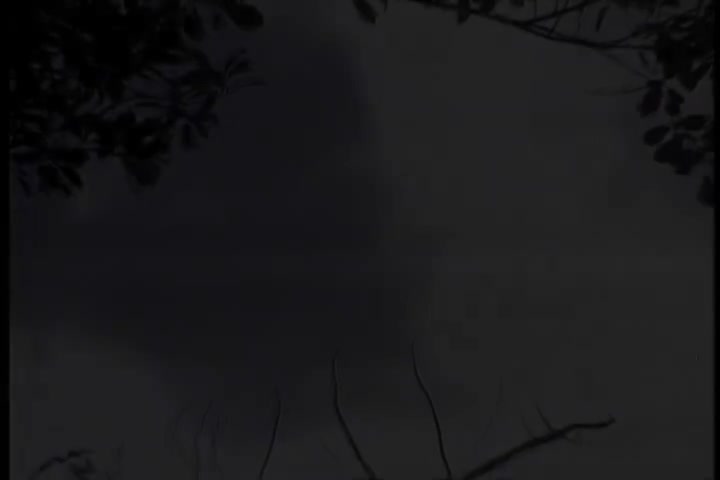 碟A 06 青山-珊瑚恋（华声）