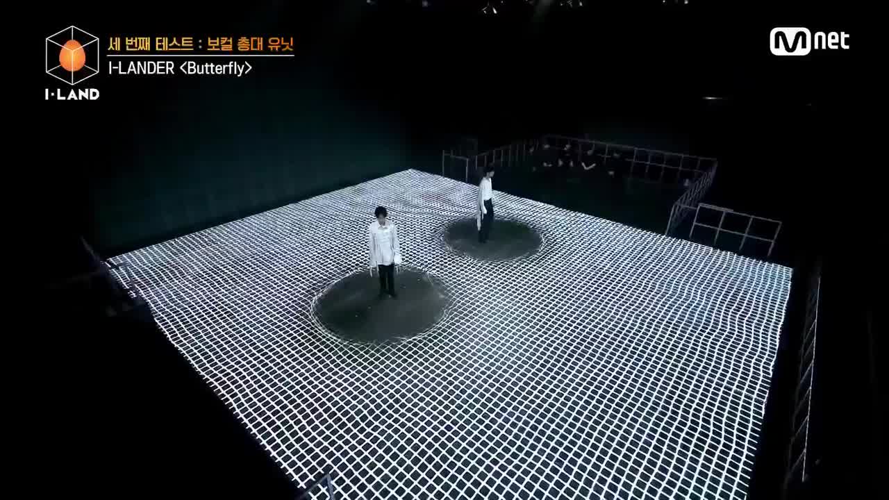 Butterfly（I-LANDER）