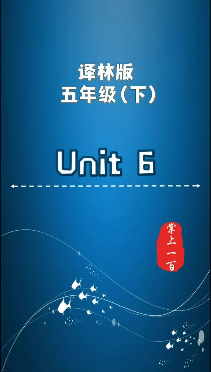 Unit 6