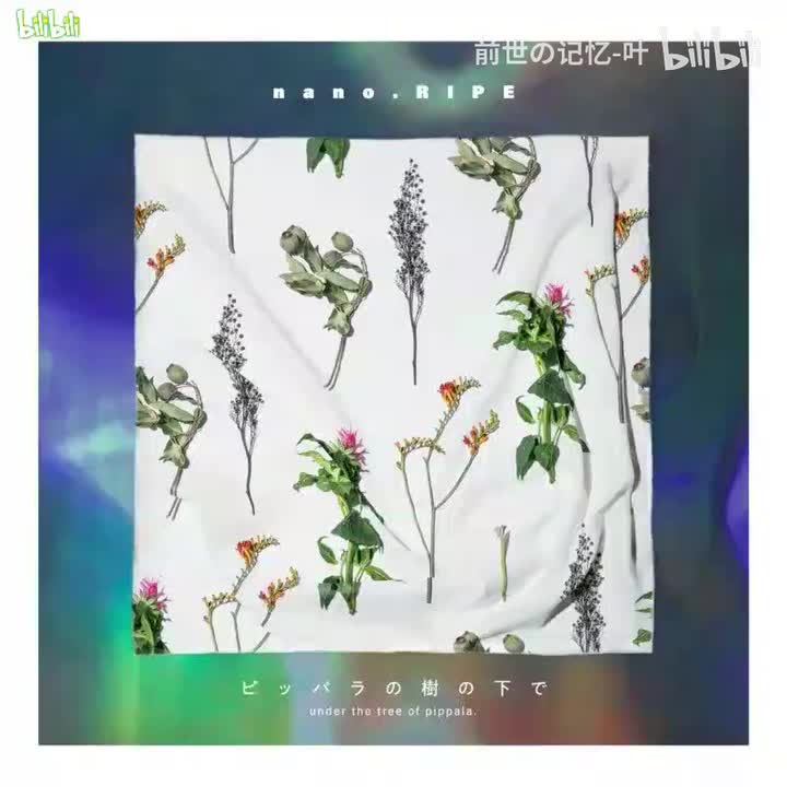 剧场版 OP あおのらくがき(蓝色涂鸦)