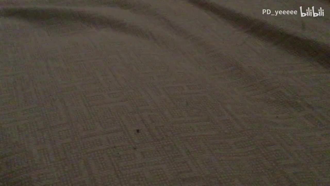 BV128411U7bd-IMG_0202