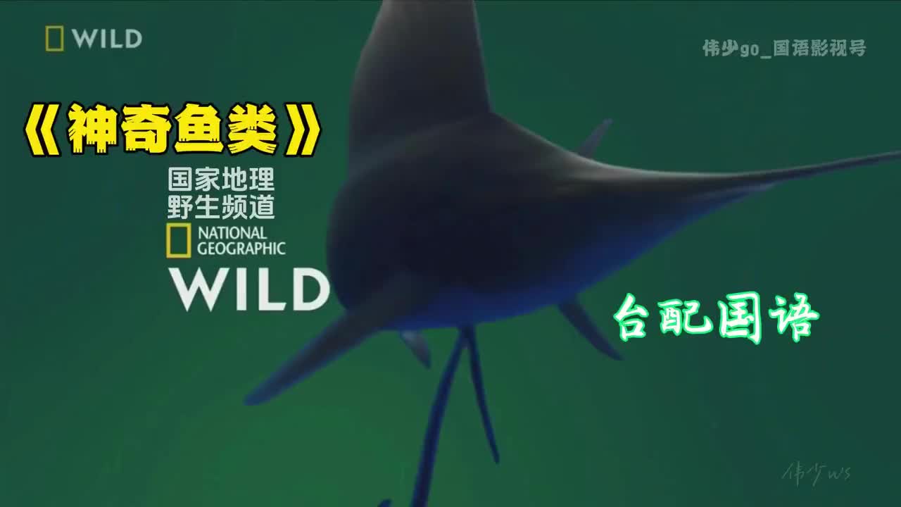 【纪录片】《神奇鱼类》| 国家地理野生频道 | 台配国语