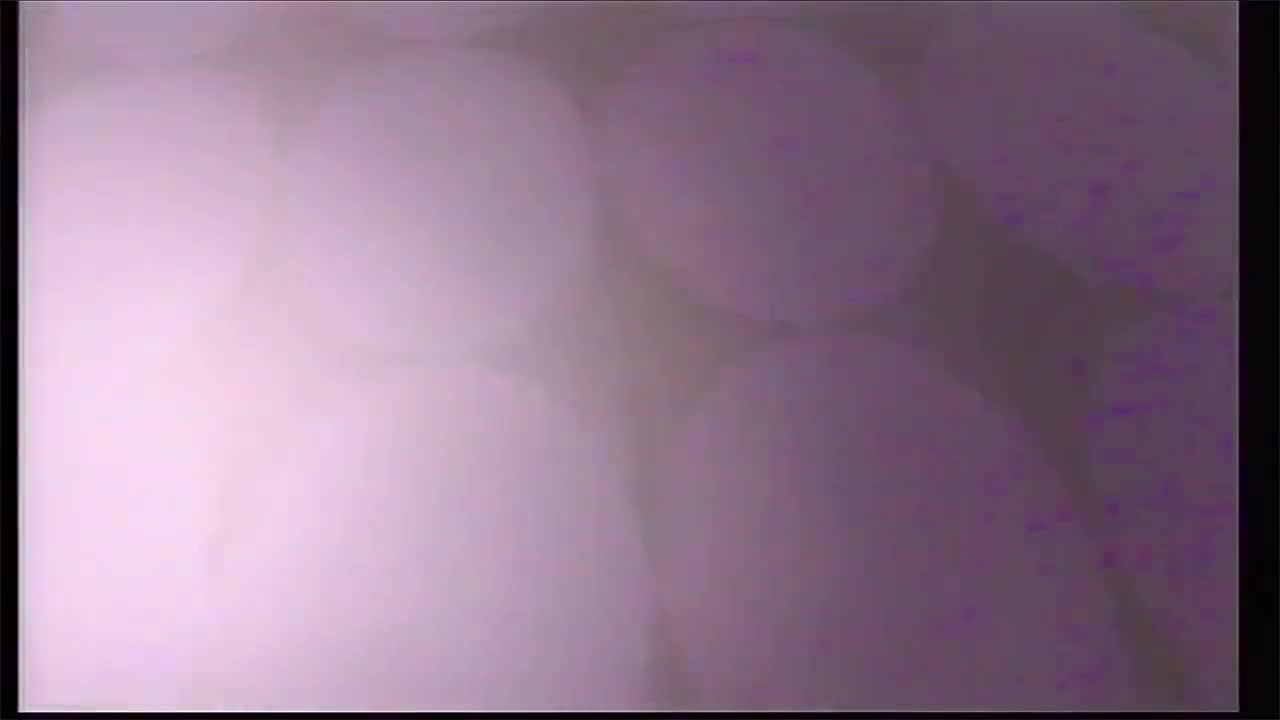 第1004回 【薬師丸ひろ子 大学卒業記念】1988／03／09