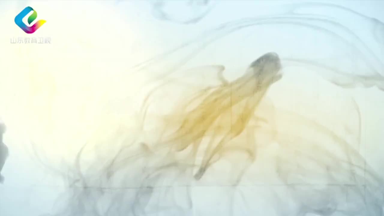 13-梁涛：诚意慎独 13