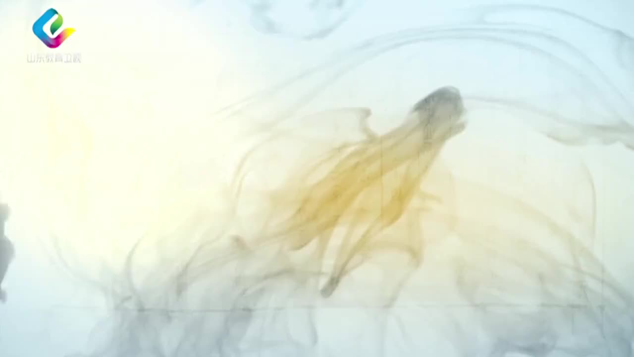 12-王中江：大学之道 12