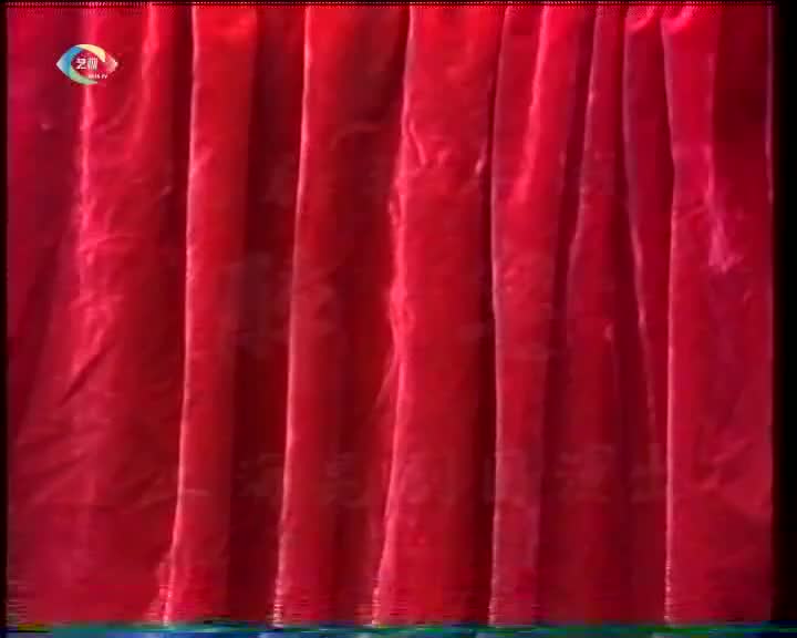 刘异龙、王泰琪