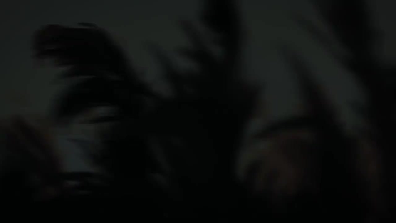 《率土之滨》刘备人物志动画-字幕版