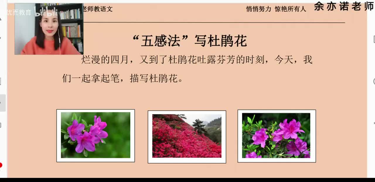 28-植物作文：“五感法”写杜鹃花