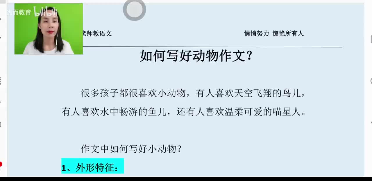 42-动物作文：柯基犬