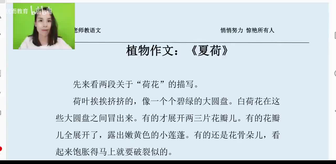 45-植物作文《夏荷》