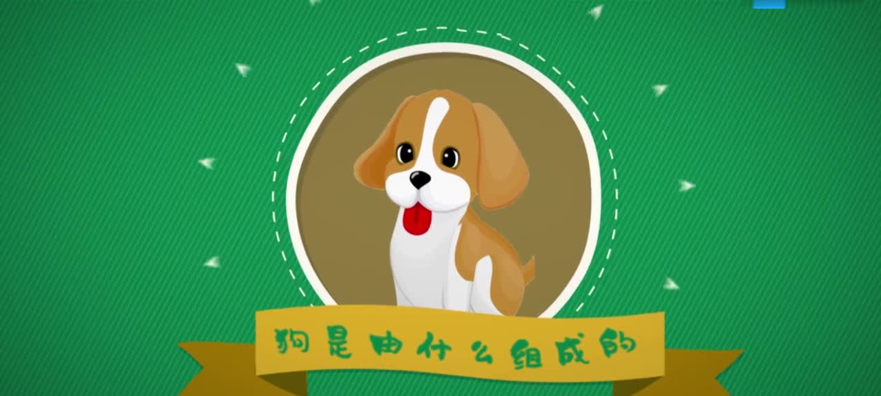 01先导——元素之谜，人体中的化学元素