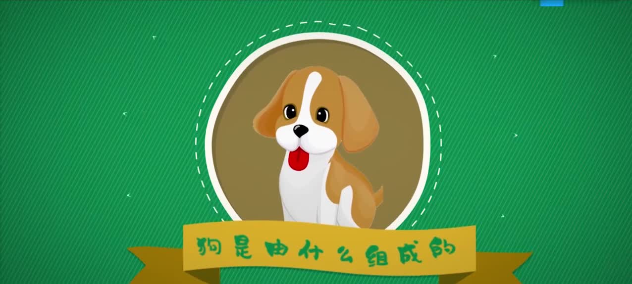 10.硫——人体中的硫元素和其他