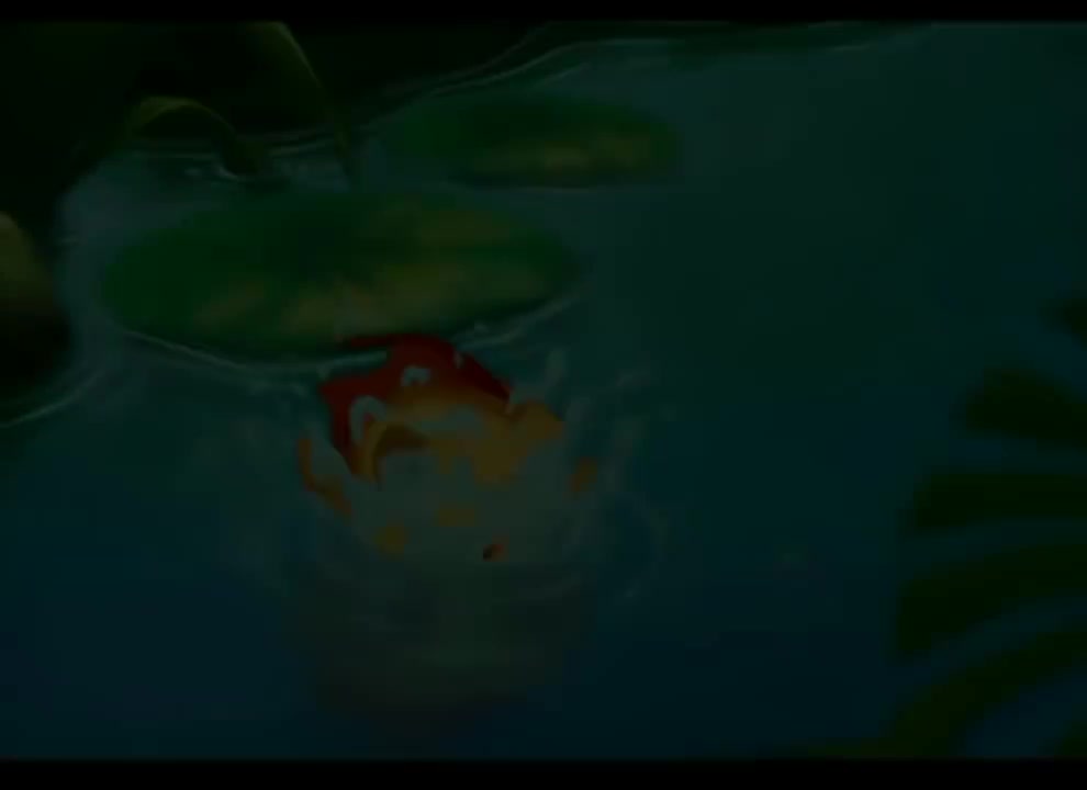 第20集 水葫芦泽