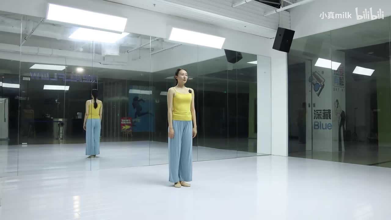 折枝花满衣镜面节奏版