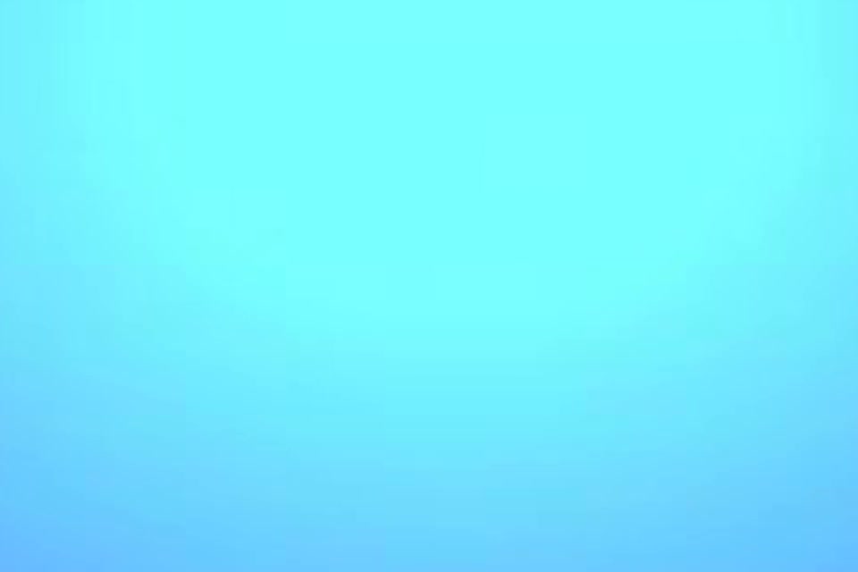 【自然拼读59】同音异义的单词