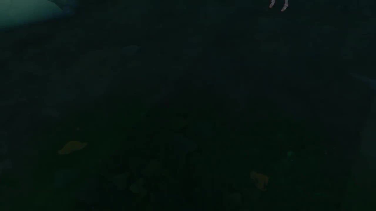 《原神》世界任务——水色潮痕