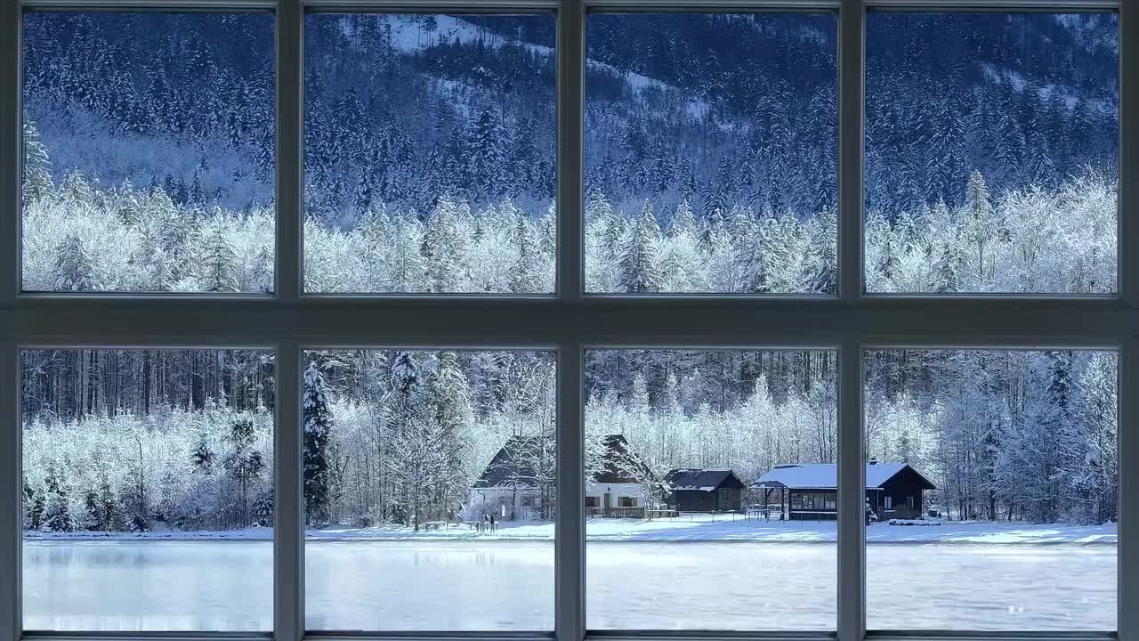 松林湖泊-Pine Lake