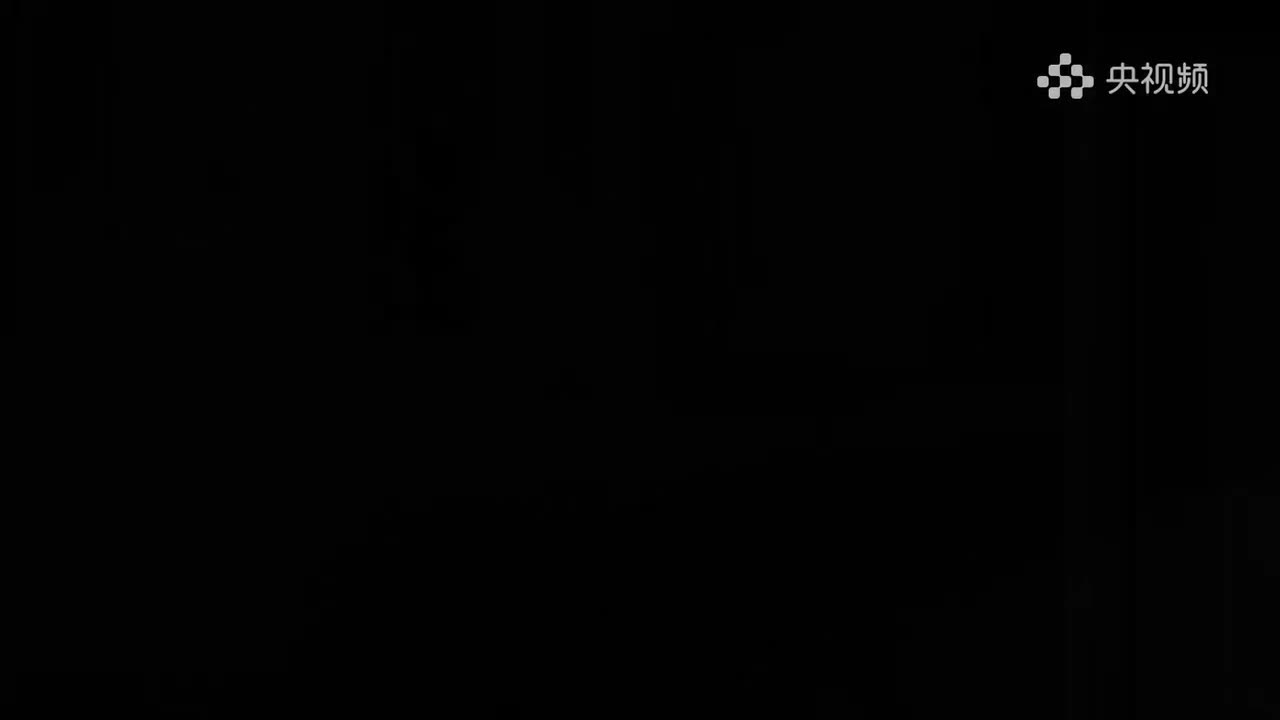 001.美术里的中国-齐白石