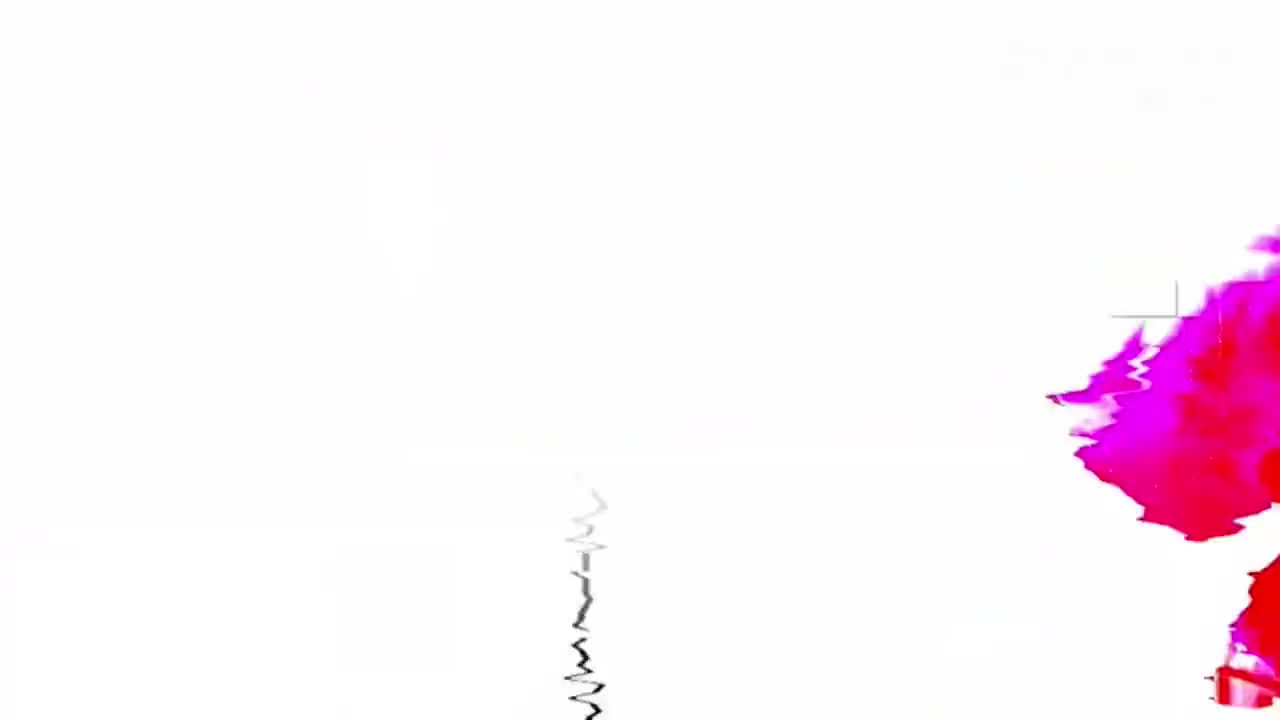 【P1】新浪娱乐《Talk音乐会》