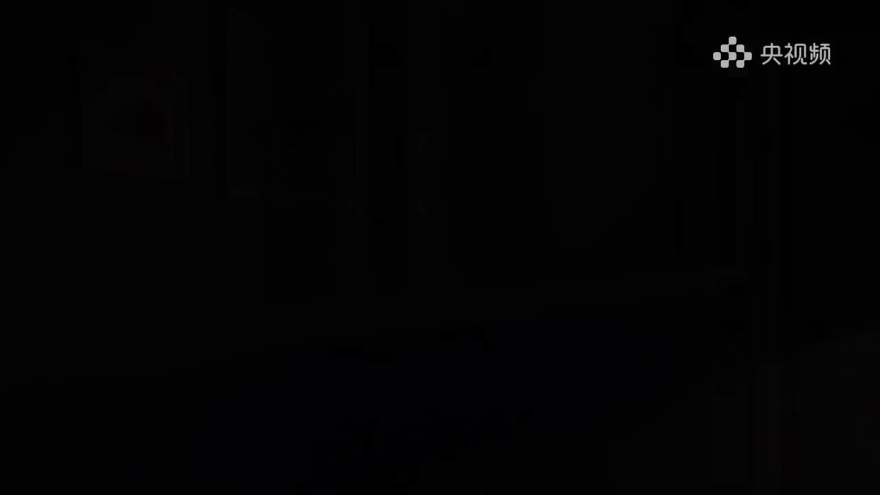 002.美术里的中国-黄宾虹