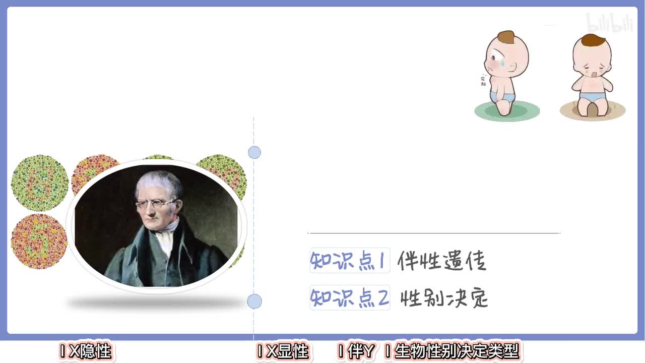 遗传】13伴性遗传【辞典】