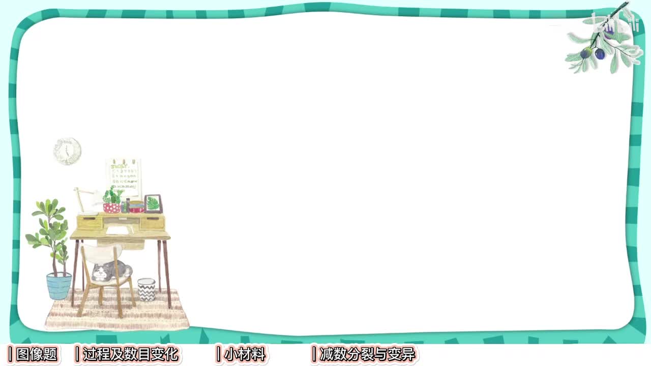 细胞生命历程】9减数分裂-高考选择题【考点】基础-中档-拔高