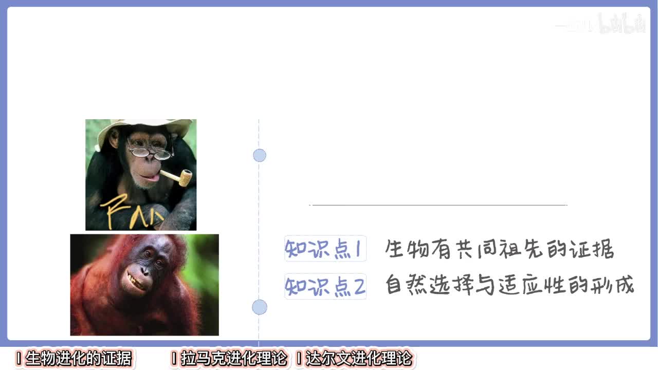 进化】1自然选择学说【辞典】