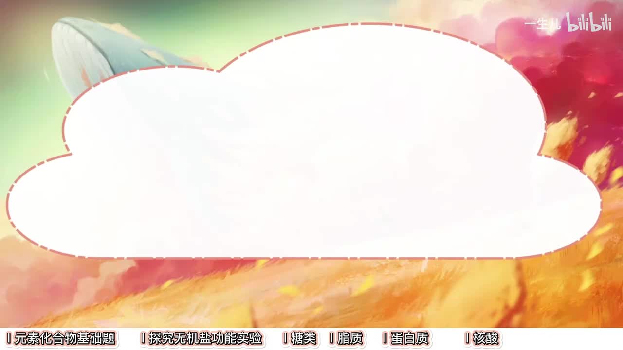 分子】11元素化合物【考点】基础