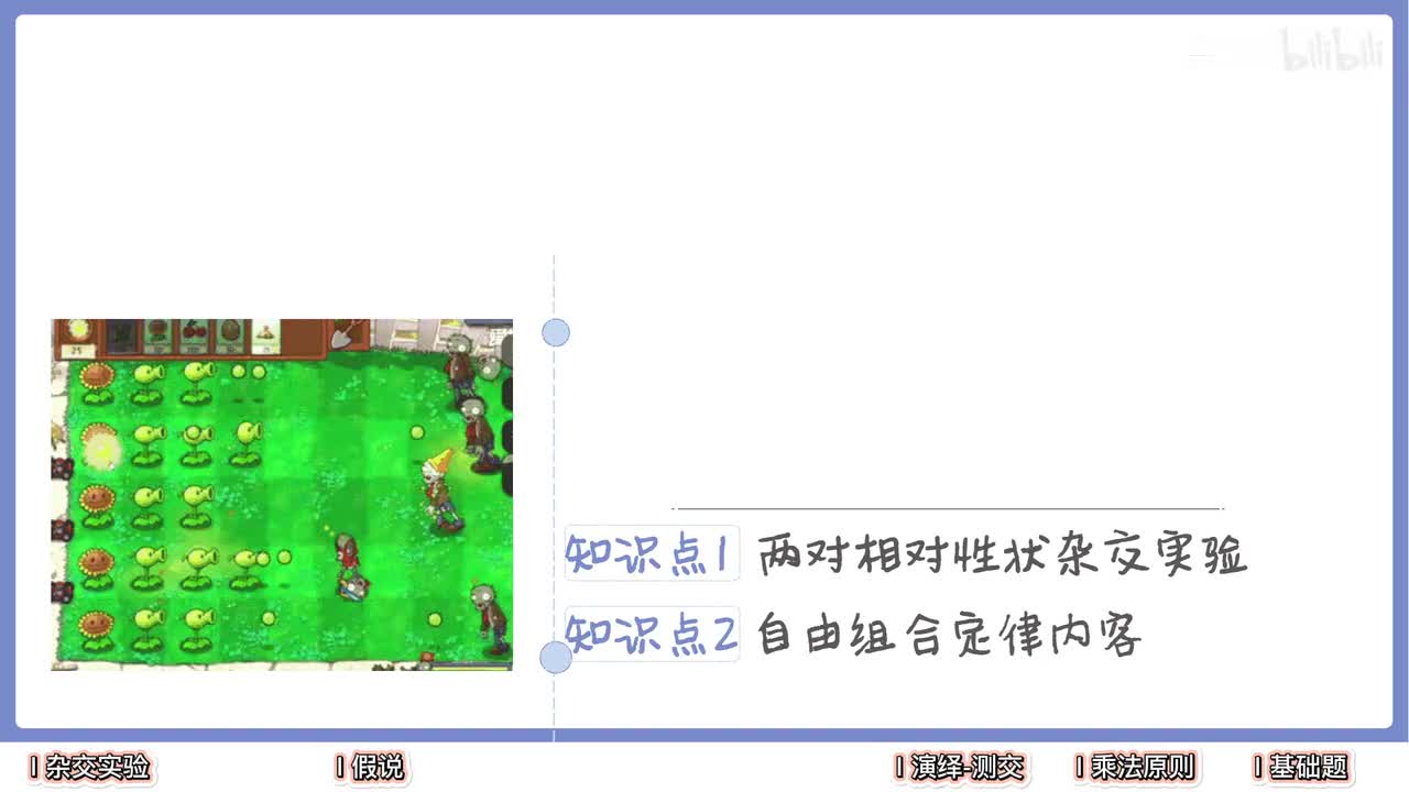 遗传】6自由组合定律的内容【辞典】